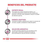 Royal Canin Veterinary Renal Special latas para gatos - Pack 12   , , large image number null