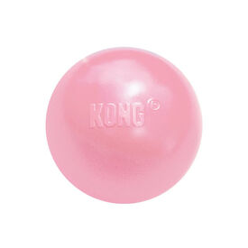 Kong Puppy Bola com buraco para cães