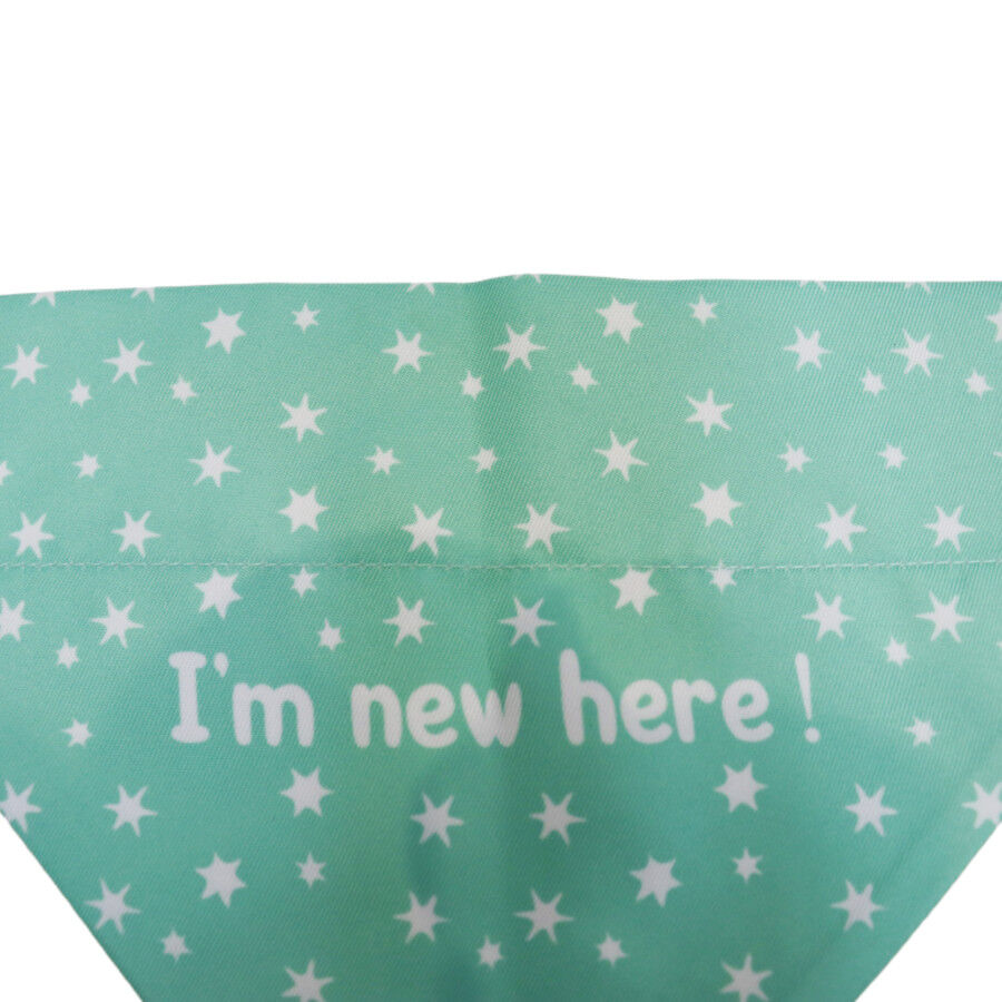 Gotoo Bandana estampada verde para c&atilde;es, , large Imagem n&uacute;mero 4