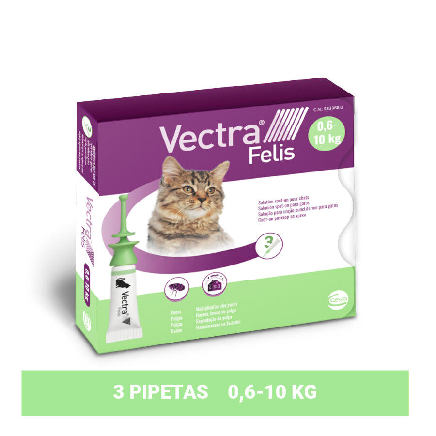Vectra Felis Pipetas Antiparasit&aacute;rias para gatos - Pack 3, , large Imagem n&uacute;mero 2