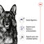15 kg Royal Canin Maxi Adult 5+ ração para cães seniores de raça grande, , large Indicador imagem número 6