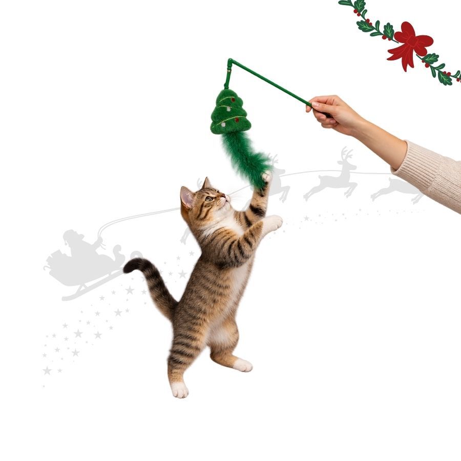 Wonder Christmas Teaser &Aacute;rvore de Natal Brinquedo para gatos, , large Imagem n&uacute;mero 1