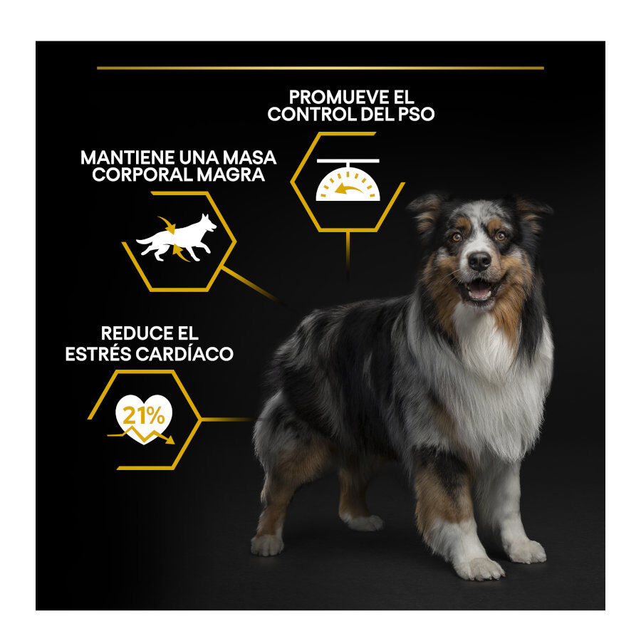 14 kg Pro Plan Adult Light/Sterilised Frango ra&ccedil;&atilde;o para c&atilde;es, , large Imagem n&uacute;mero 3