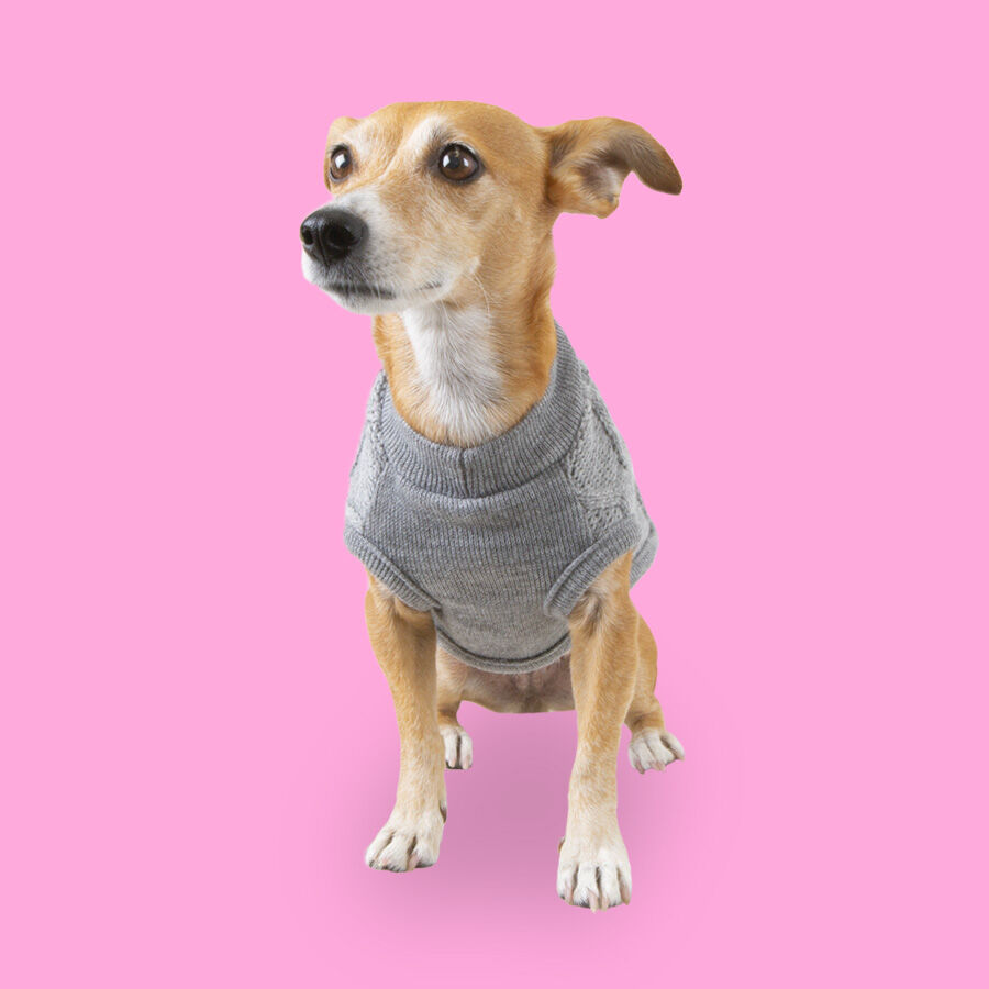 Outech Rombos Camisola de malha cinzenta para c&atilde;es, , large Imagem n&uacute;mero 2