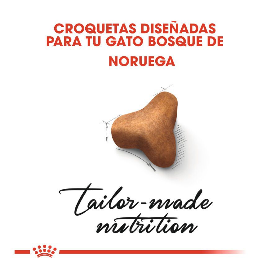 10 kg Royal Canin Adult Bosques da Noruega Ra&ccedil;&atilde;o para gatos, , large Imagem n&uacute;mero 5
