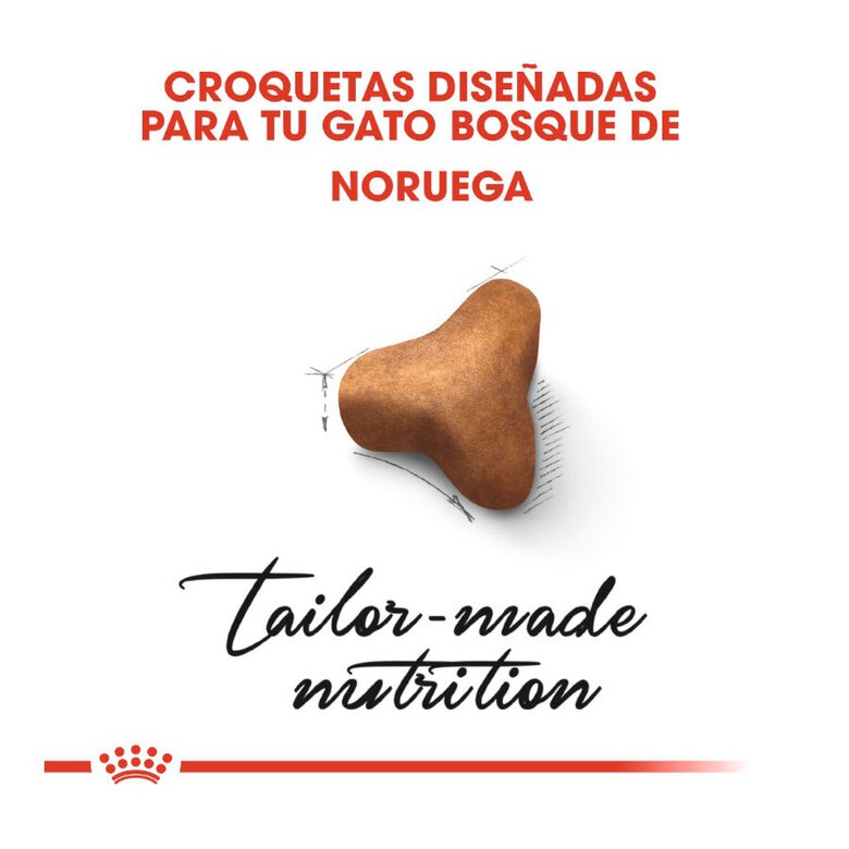 10 kg Royal Canin Adult Bosques da Noruega Ração para gatos,  Imagem número 5 10 kg Royal Canin Adult Bosques da Noruega Ração para gatos, , large Imagem número 5