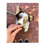 28 sticks Whimzees Puppy XS/S Snacks Dentários Naturais para cachorros, , large Indicador imagem número 3