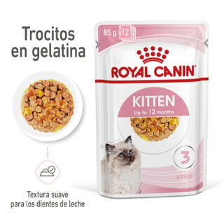 Royal Canin Kitten alimento húmido em gelatina saquetas para gatinhos