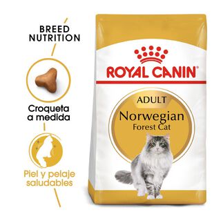 Royal Canin Adult Bosques da Noruega Ração para gatos