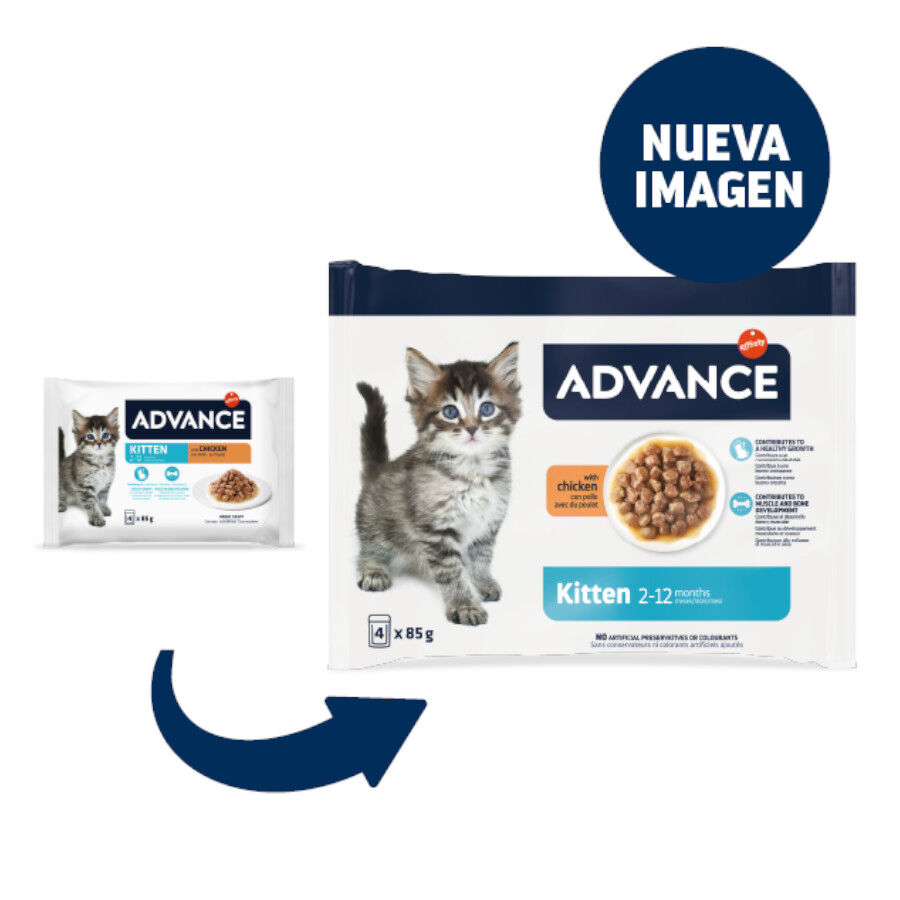 4 saquetas x  85 g Advance Kitten Frango Saqueta em Molho, , large Imagem n&uacute;mero 2