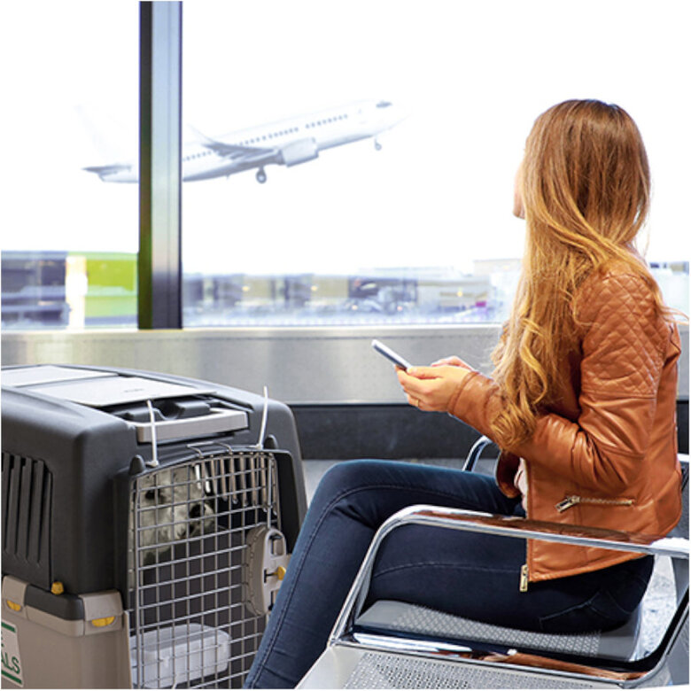 Gulliver 6 IATA Transportador para cães,  Imagem número 3 Gulliver 6 IATA Transportador para cães, , large Imagem número 3