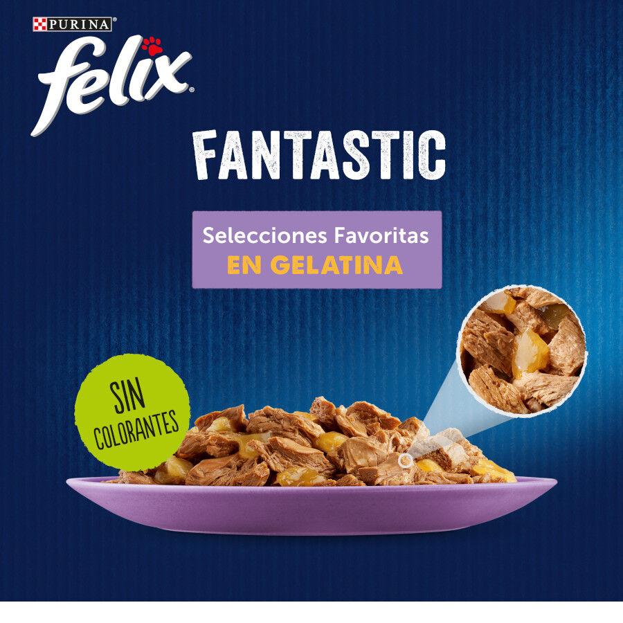 12 saquetas x 85 g Felix Fantastic Sele&ccedil;&otilde;es Favoritas saquetas em geleia, , large Imagem n&uacute;mero 2