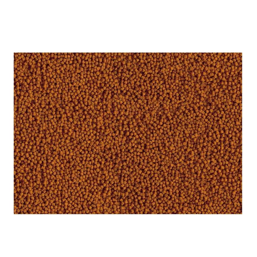 Tetra Goldfish Pellets para peixes, , large Imagem n&uacute;mero 2