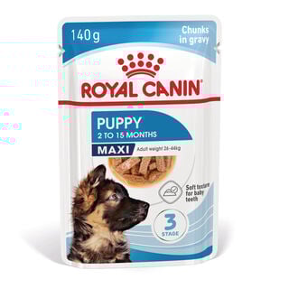 Royal Canin Maxi Puppy Alimento húmido para cães