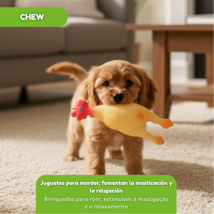 Tootoy! Chew Brinquedo galinha de quinta para c&atilde;es, , large Imagem n&uacute;mero 6