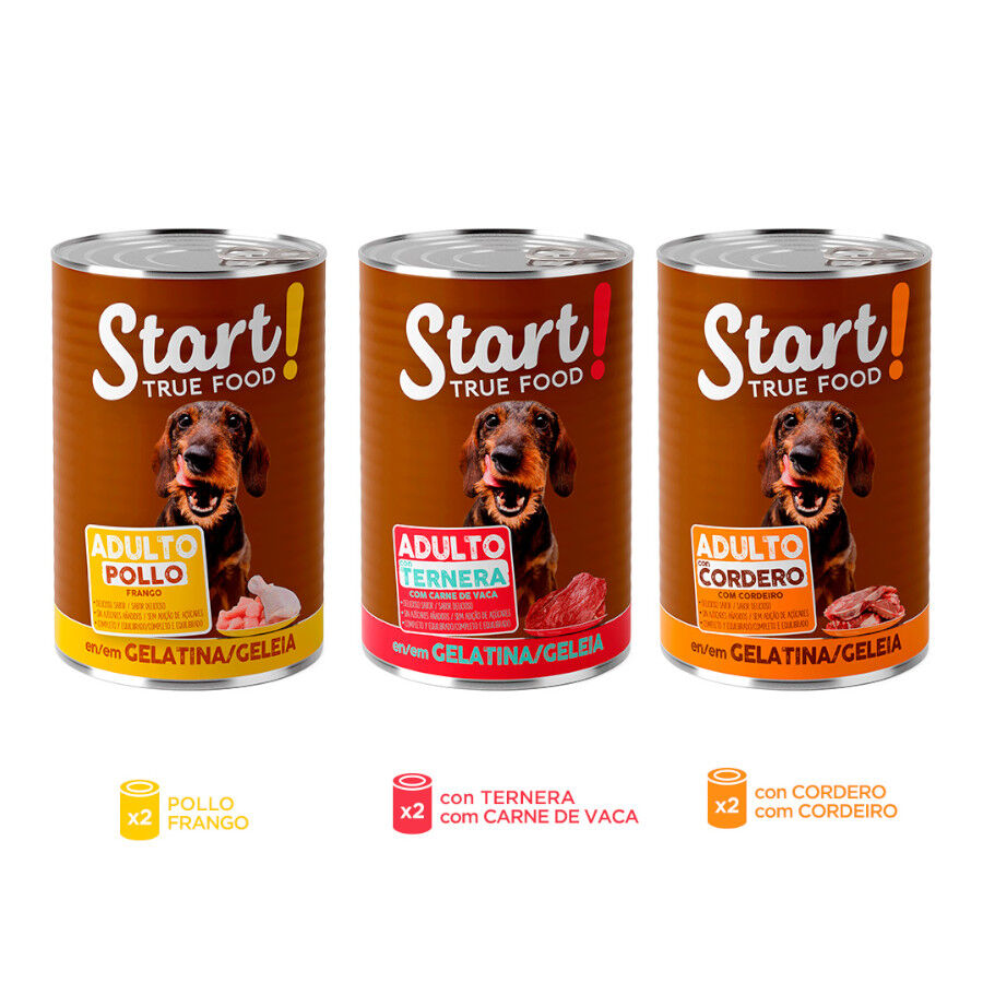 24 latas x 400 g Start! Adulto Frango, Vitela e Cordeiro em Gelatina para c&atilde;es Pack Poupan&ccedil;a!, , large Imagem n&uacute;mero 3