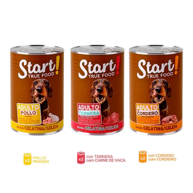 6 latas x 400 g Start! Adulto Frango, Vitela e Cordeiro em Gelatina para cães,  Imagem número 3 6 latas x 400 g Start! Adulto Frango, Vitela e Cordeiro em Gelatina para cães, , large Imagem número 3