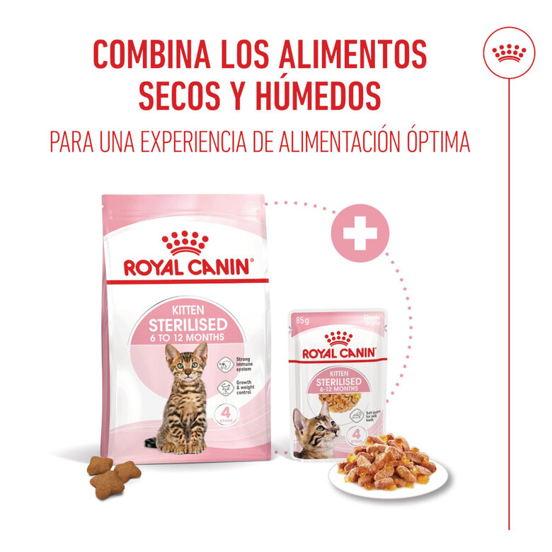 85 g Royal Canin Kitten Sterilised Saquetas de Gelatina para gatinhos,  Imagem número 5 85 g Royal Canin Kitten Sterilised Saquetas de Gelatina para gatinhos, , large Imagem número 5