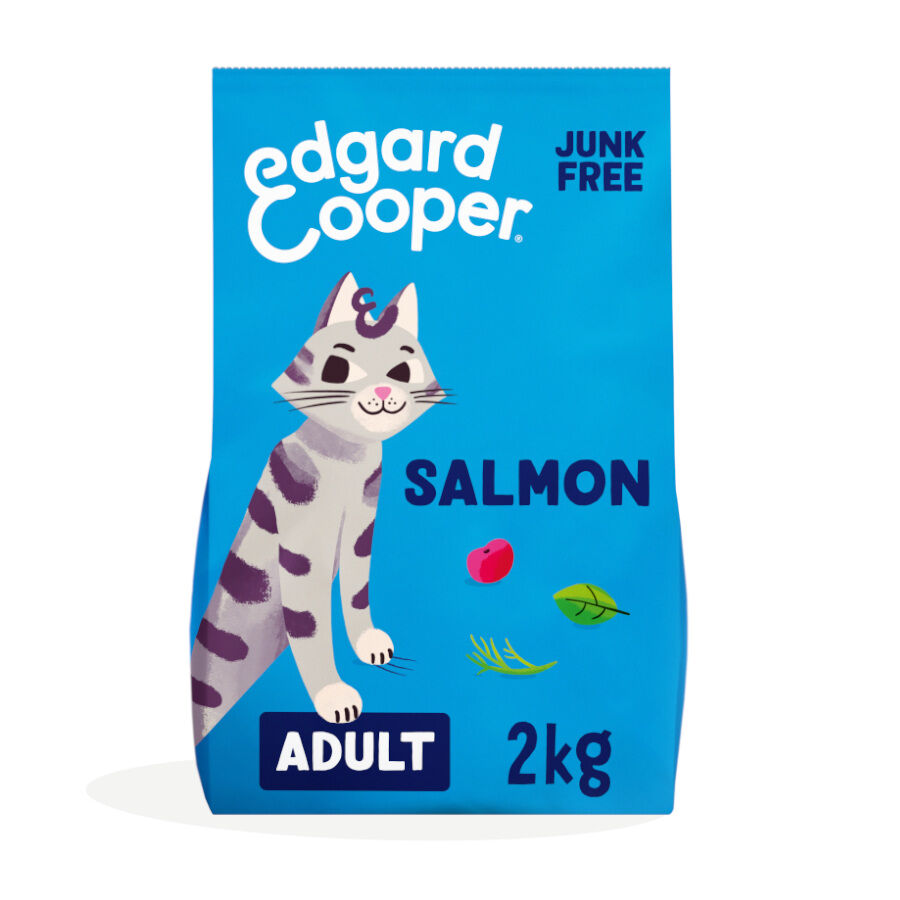 4 kg Edgard & Cooper Adult Salm&atilde;o ra&ccedil;&atilde;o para gatos, , large Imagem n&uacute;mero 1