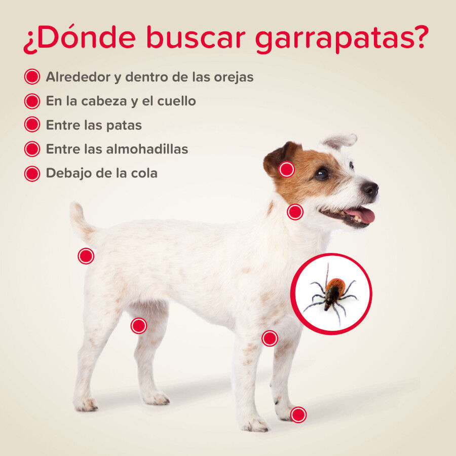 Beaphar Canishield Coleira Antipulgas para c&atilde;es, , large Imagem n&uacute;mero 5
