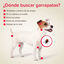 Beaphar Canishield Coleira Antipulgas para cães, , large Indicador imagem número 5