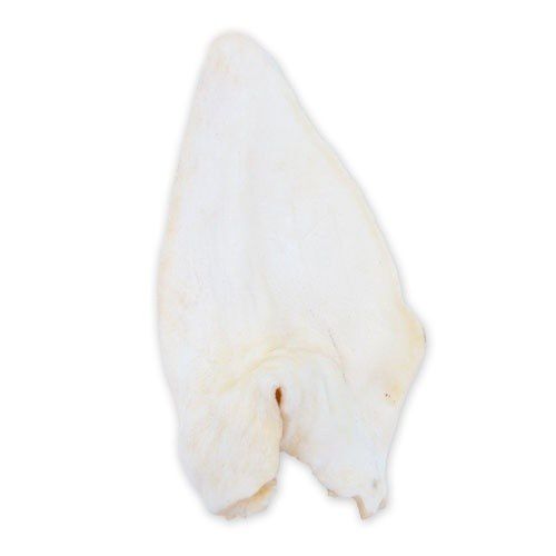 Criadores snack Oreja de b&uacute;falo para perros Imagem n&uacute;mero 1