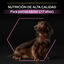 3 kg Pro Plan Adult Small & Mini OptiAge Frango ração para cães, , large Indicador imagem número 8