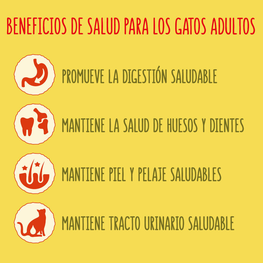 20 kg Friskies Adult Vaca, Frango e Legumes ra&ccedil;&atilde;o para gatos, , large Imagem n&uacute;mero 6