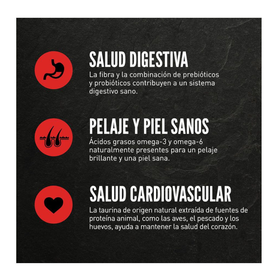 1.8 kg Orijen Kitten Frango com Per&uacute; e Salm&atilde;o ra&ccedil;&atilde;o para gatitos, , large Imagem n&uacute;mero 4