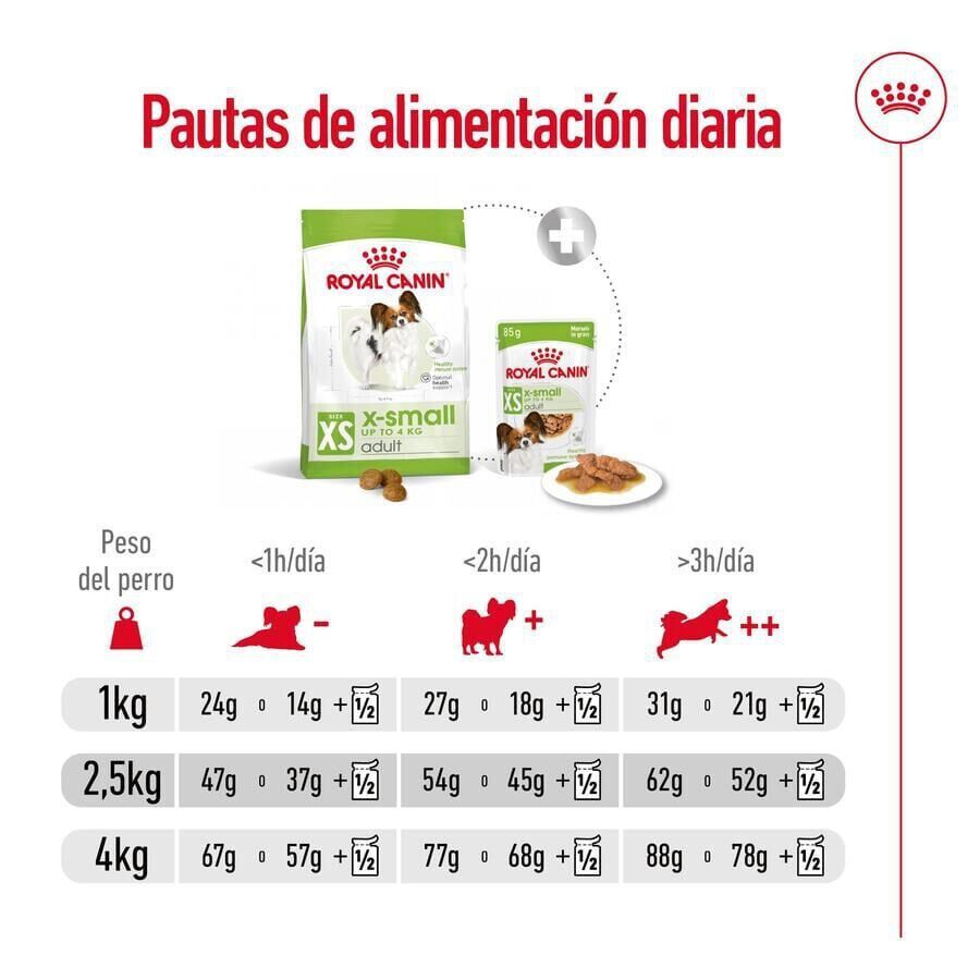 3 kg Royal Canin X-Small Adult ra&ccedil;&atilde;o para c&atilde;es, , large Imagem n&uacute;mero 9