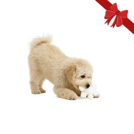 Wonder Christmas Peluche Floco de Neve de Natal para Cães