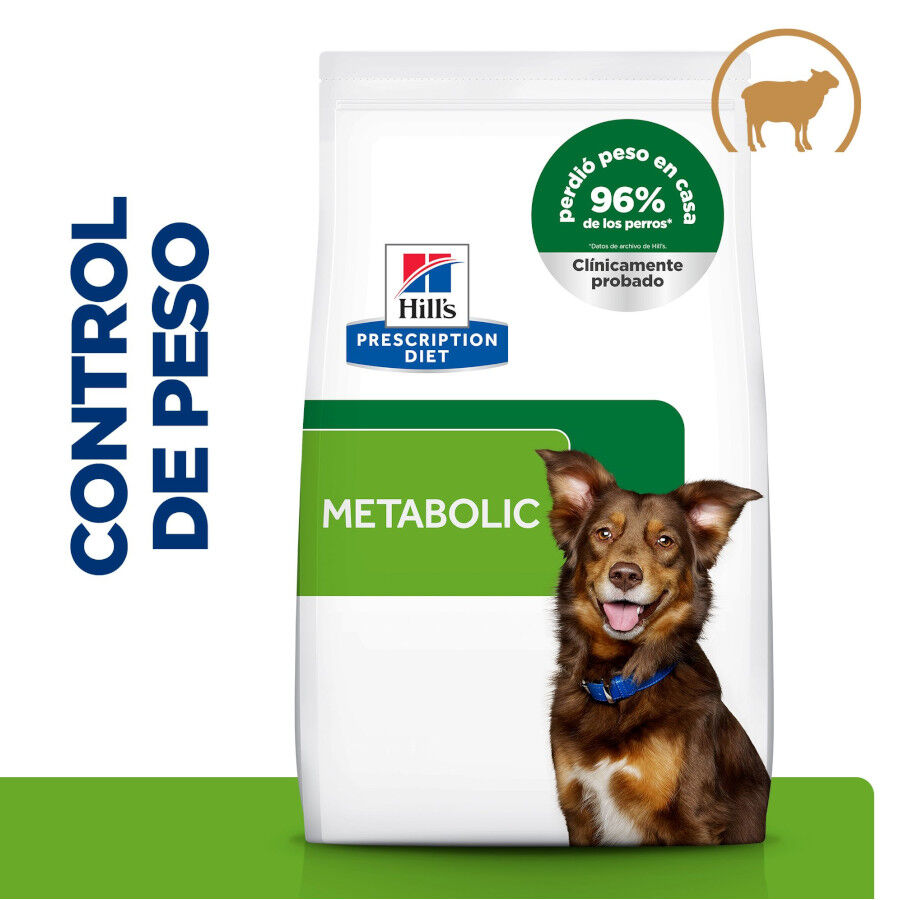 Hill's Prescription Diet Metabolic cordeiro e arroz ra&ccedil;&atilde;o para c&atilde;es, , large Imagem n&uacute;mero 2