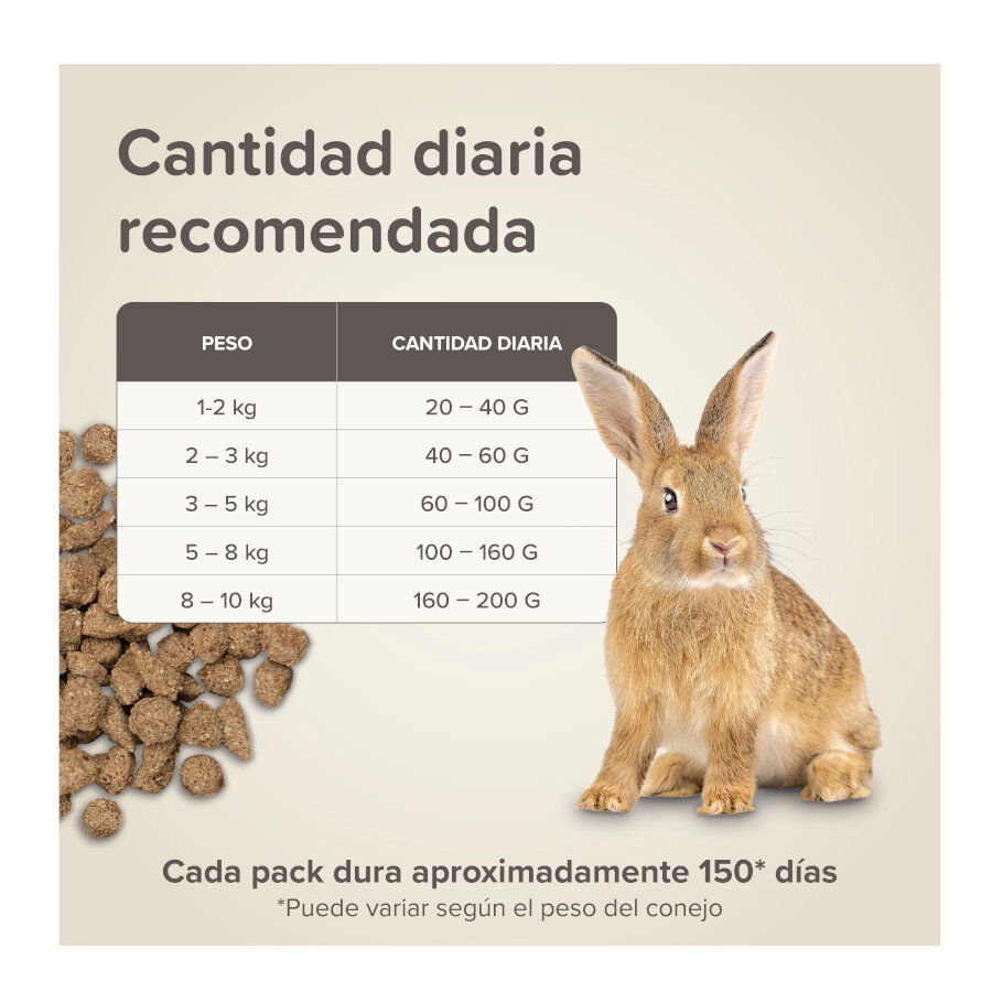 Beaphar Care+ ra&ccedil;&atilde;o para coelhos adultos super premium, , large Imagem n&uacute;mero 9