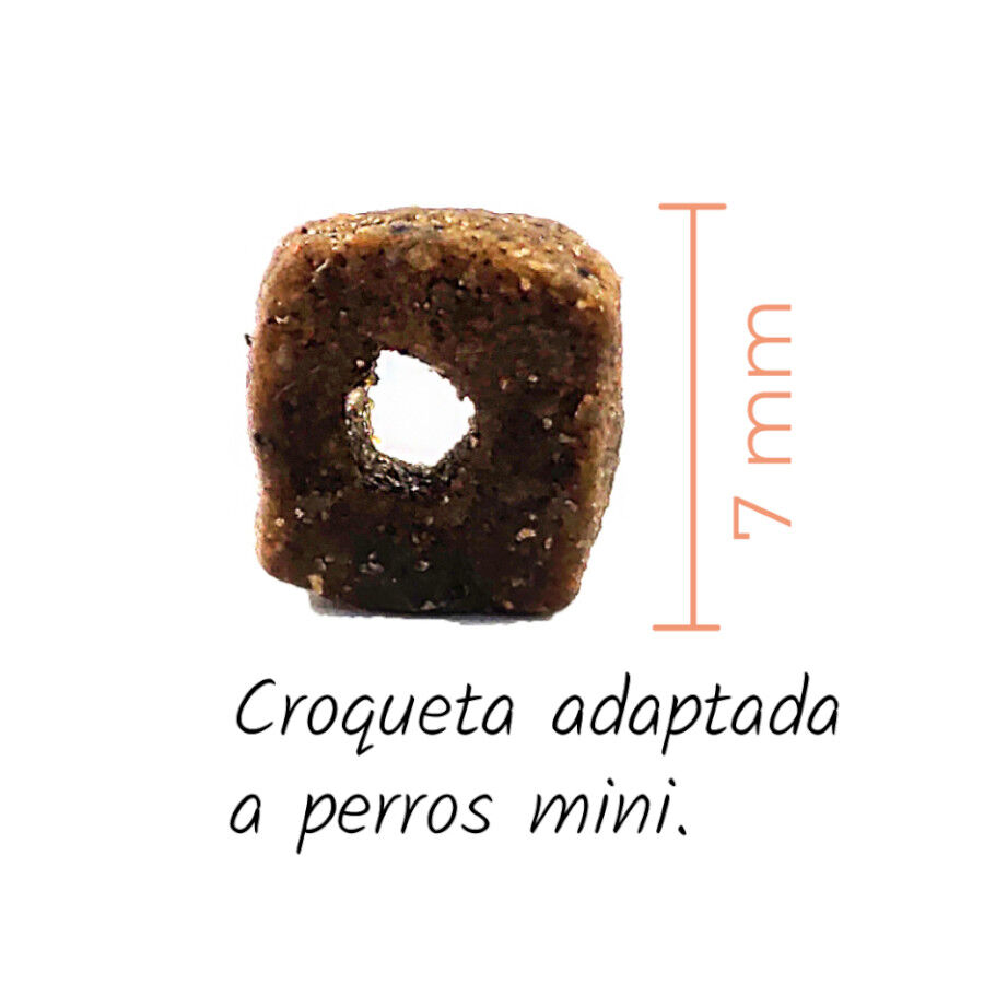 2 kg Lenda Adult Mini Atlantic Blue Fish ra&ccedil;&atilde;o para c&atilde;es, , large Imagem n&uacute;mero 2