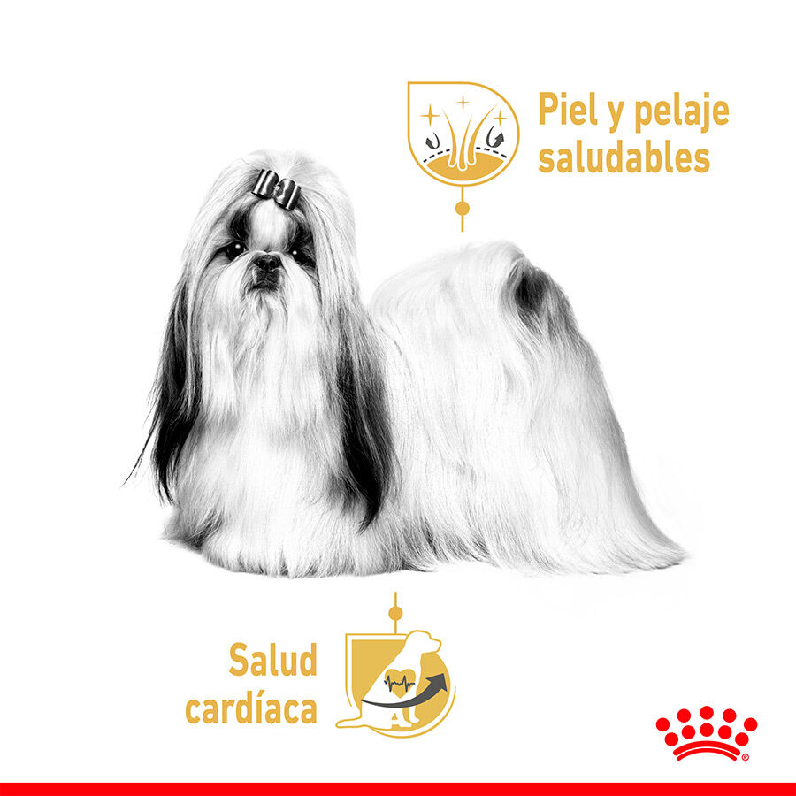 85 g Royal Canin Adult Shih Tzu Pat&ecirc;, , large Imagem n&uacute;mero 5