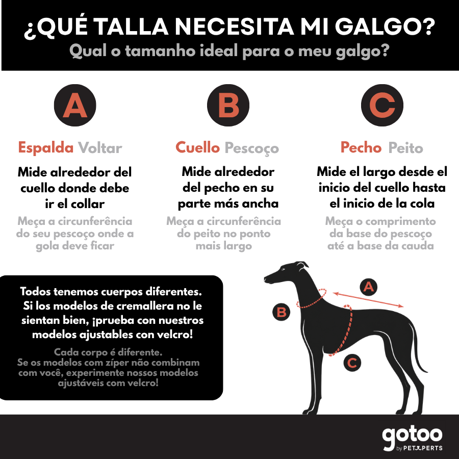 Gotoo Sapatos Vermelhos e Pretos para c&atilde;es, , large Imagem n&uacute;mero 8