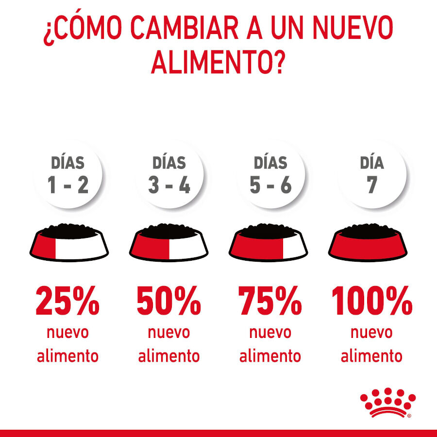 85 g Royal Canin Hairball Care Saquetas em Gelatina para gatos, , large Imagem n&uacute;mero 9