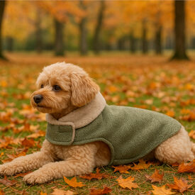 Outech Abrigo Brandy para cães