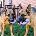 Kong Ogee Curvas Mordedor para cães, , large image number null