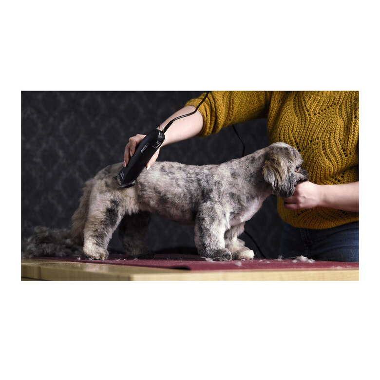 Moser Max 45 Máquina Cortar pelo para cães,  Imagem número 3 Moser Max 45 Máquina Cortar pelo para cães, , large Imagem número 3