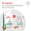 410 g Royal Canin Veterinary Diabetic latas para c&atilde;es, , large Indicador imagem n&uacute;mero 8