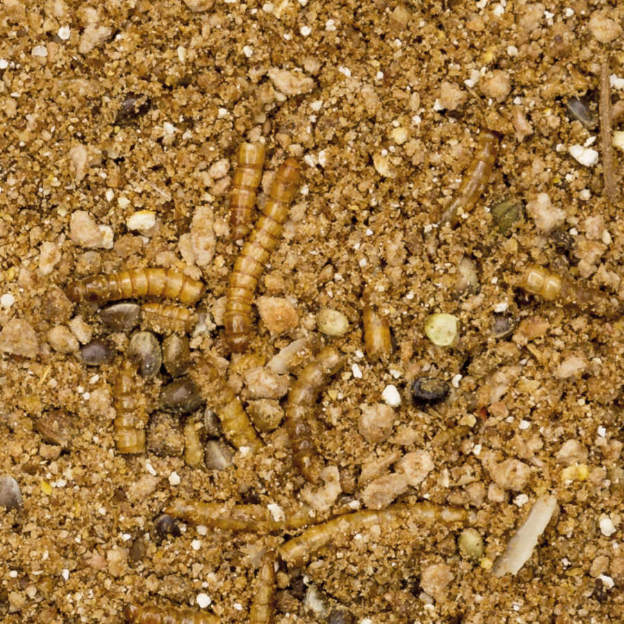 Beaphar Comida para ouri&ccedil;os, , large Imagem n&uacute;mero 2