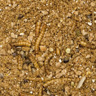 Beaphar Comida para ouriços, , large image number null