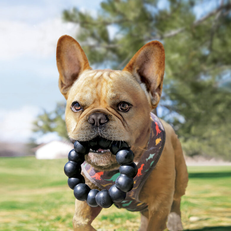 Kong Extreme Ring mordedor para cães, , large image number null