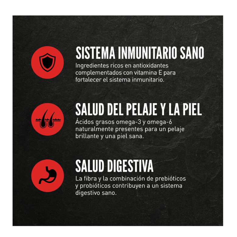 11 kg Orijen Puppy ração para cães,  Imagem número 4 11 kg Orijen Puppy ração para cães, , large Imagem número 4