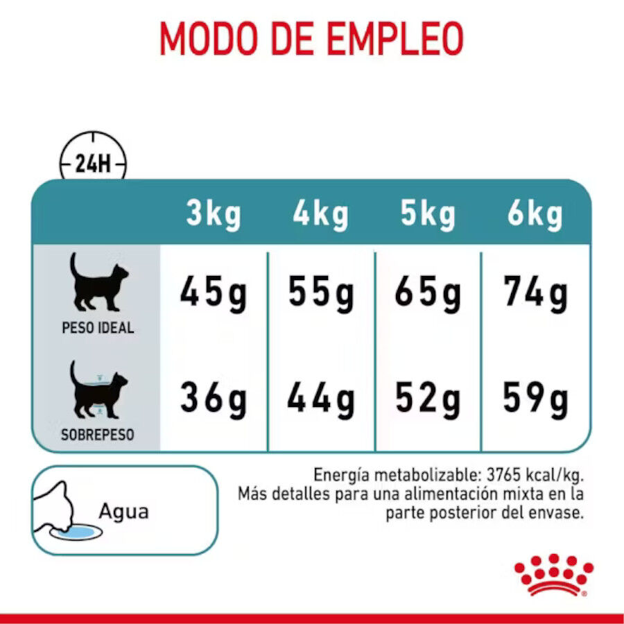 10 kg Royal Canin Intense Hairball ra&ccedil;&atilde;o para gatos, , large Imagem n&uacute;mero 9