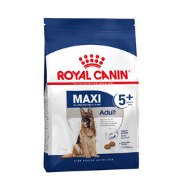 Royal Canin Maxi Adult ra&ccedil;&atilde;o para c&atilde;es