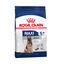 15 kg Royal Canin Maxi Adult ra&ccedil;&atilde;o para c&atilde;es, , large Indicador imagem n&uacute;mero 1