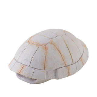 Decoração Exo Terra Fossil Turtle Shell para terrários