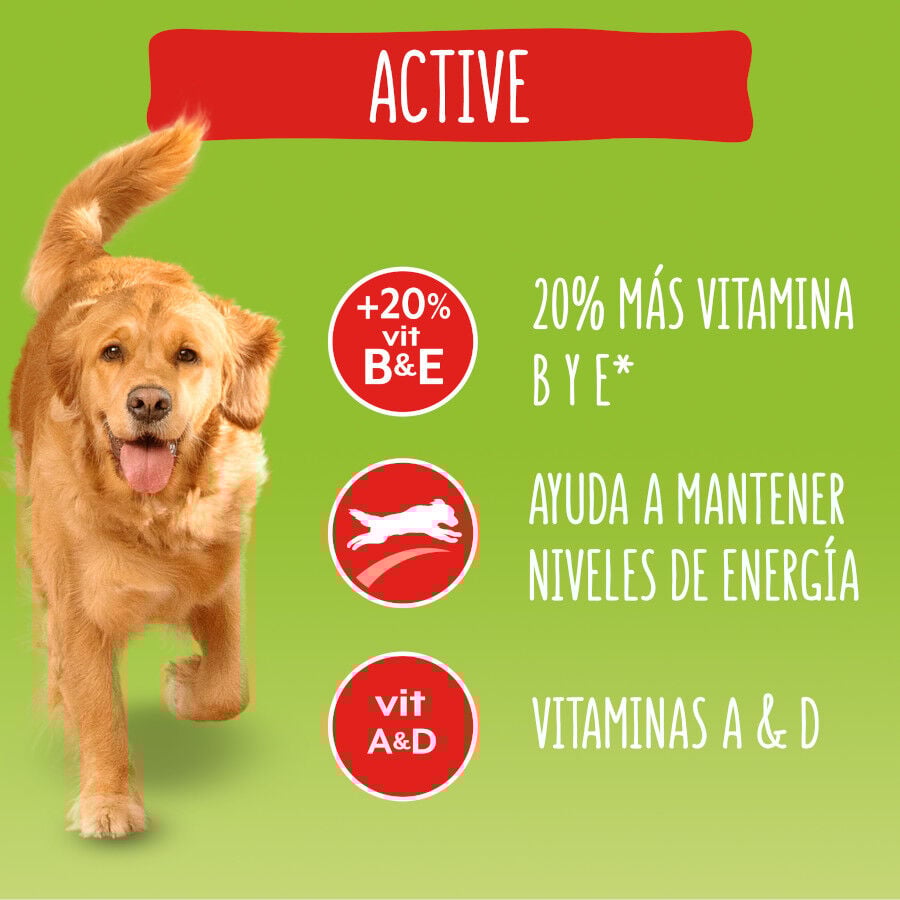 15 kg Friskies Active Ra&ccedil;&atilde;o para c&atilde;es, , large Imagem n&uacute;mero 3